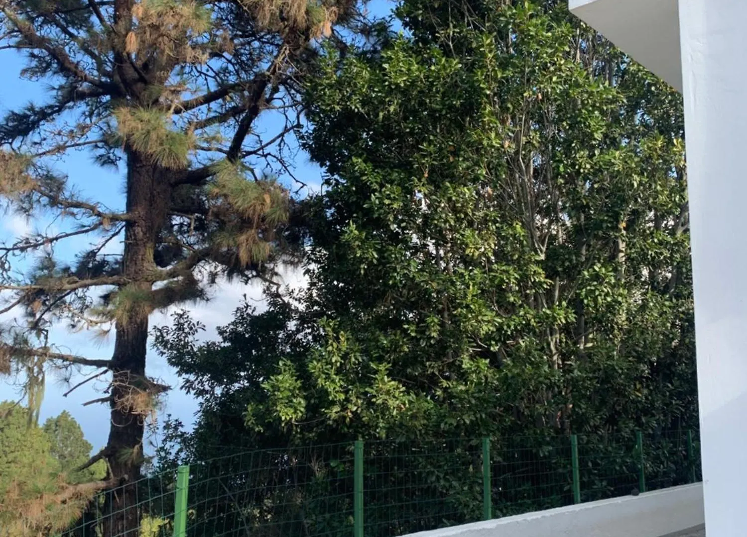 فندق Casa Del Pino San Juan del Reparo مكان تخييم